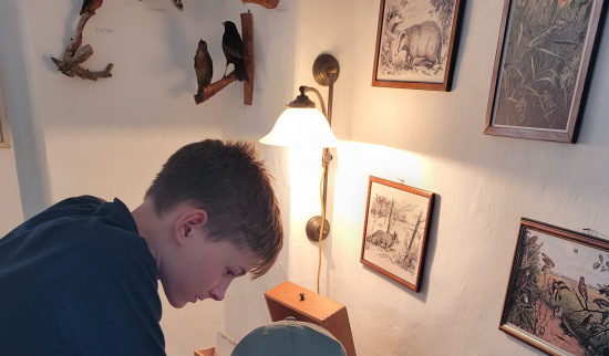 Unsere Schülerpraktikanten versuchen unser Schreibtischrätsel zu knacken Foto: Julia Langer