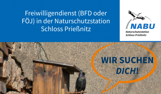 Foto: Esther Sossai - Canva - Philipp Wöhner