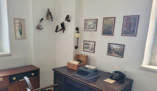 Foto: Julia Langer