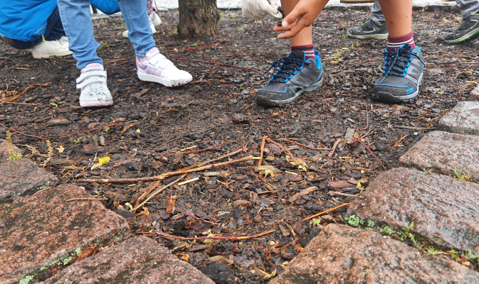 Kinder verteilen das Saatgut auf der Baumscheibe – Foto: Kornelia Flatau