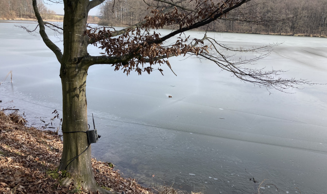 Der noch gefrorene Teich – Foto: Esther Sossai
