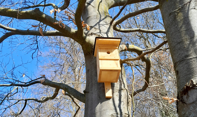 Nistkasten der