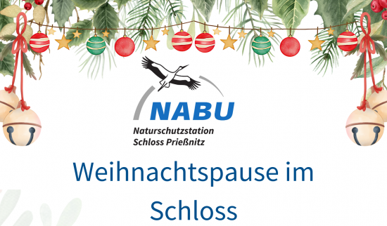 Weihnachtspause in der NABU Naturschutz Station Schloss Prießnitz Foto: Julia Langer