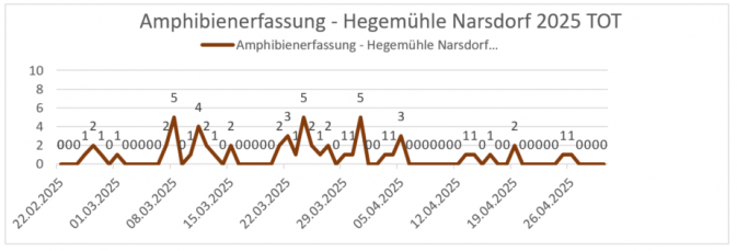 Amphibienerfassung - Narsdorf Hegeteich 2025 – Foto: Esther Sossai