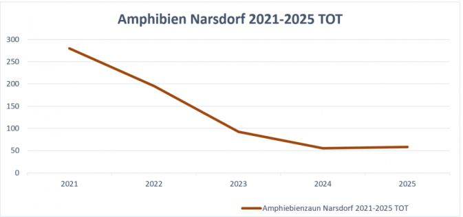 Amphibienarten Narsdorf Hegeteich 2025 – Foto: Esther Sossai